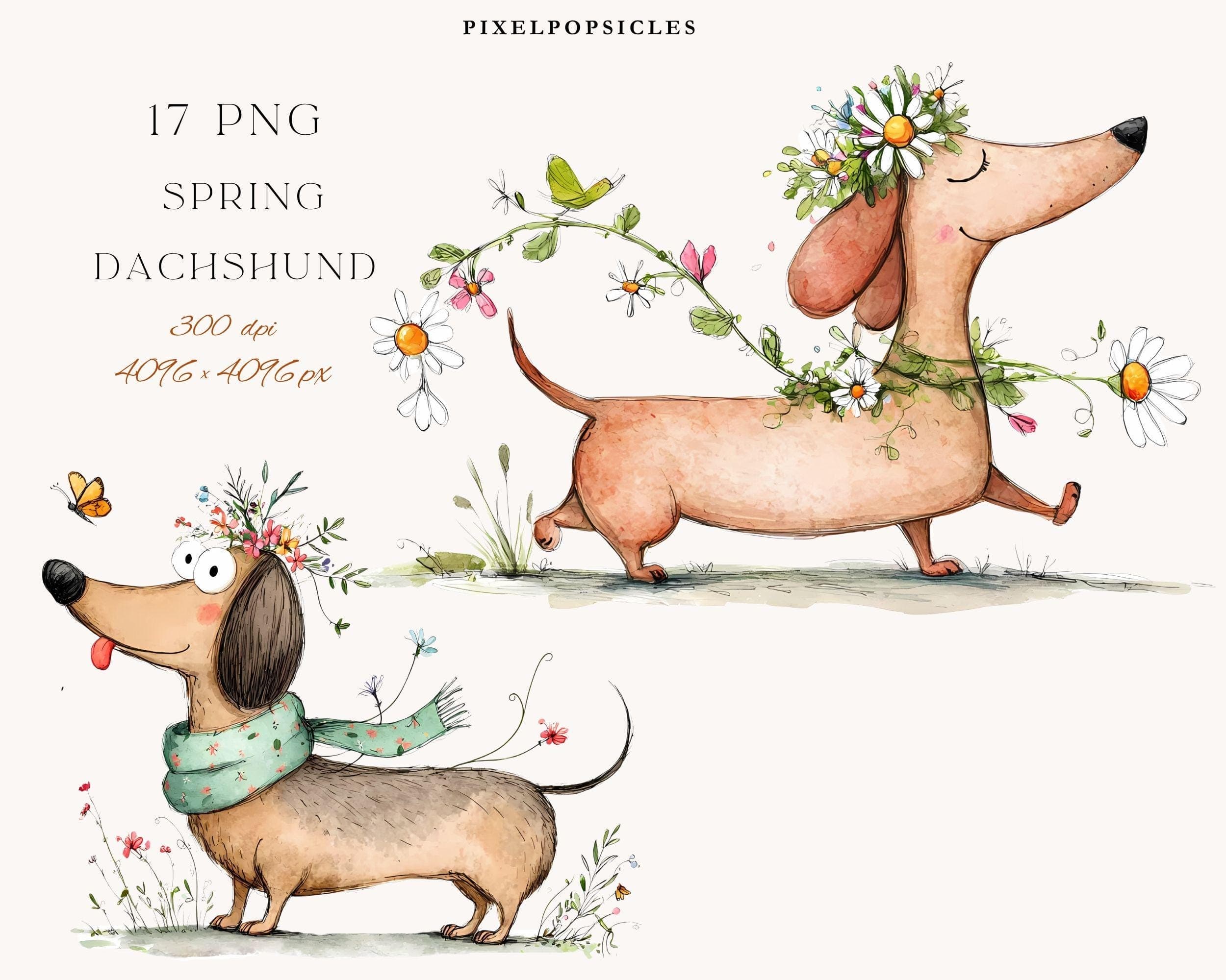 Whimsical Spring Dachshund Clipart – Floral Watercolor Sausage Dog PNGs for Spring
